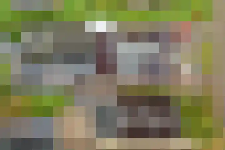Breedijk 14 Ryptsjerk thumbnail 42