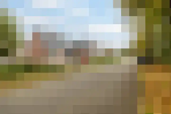 Breedijk 14 Ryptsjerk thumbnail 43