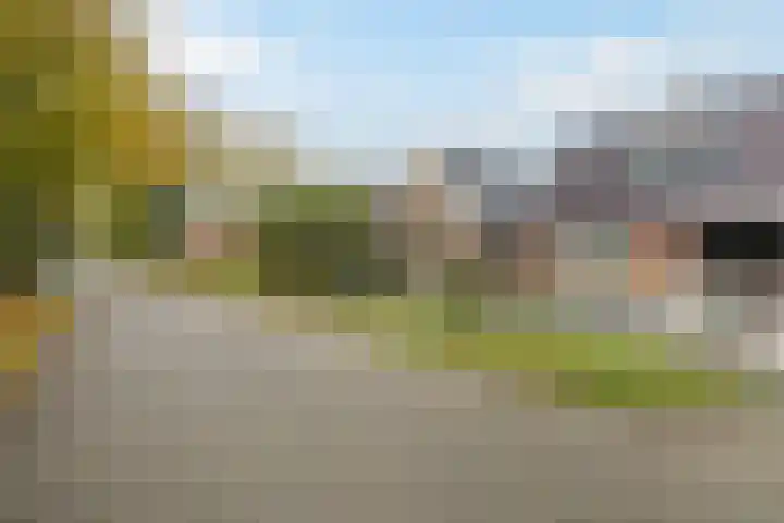 Breedijk 14 Ryptsjerk thumbnail 44