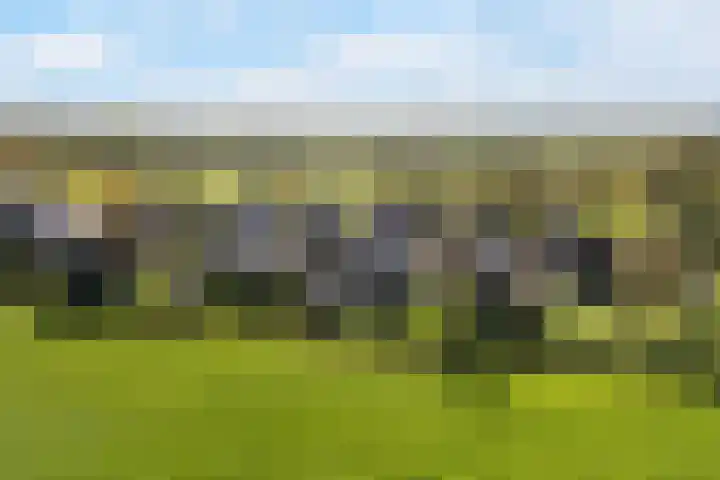 Breedijk 14 Ryptsjerk thumbnail 45