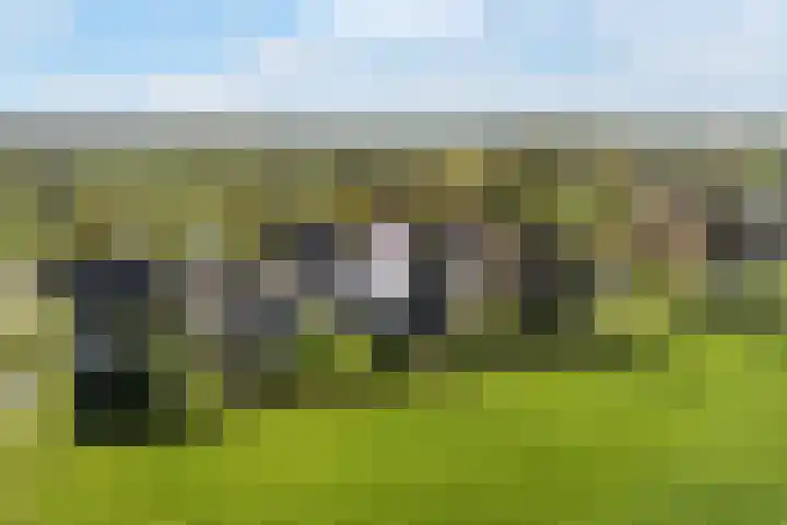 Breedijk 14 Ryptsjerk thumbnail 46