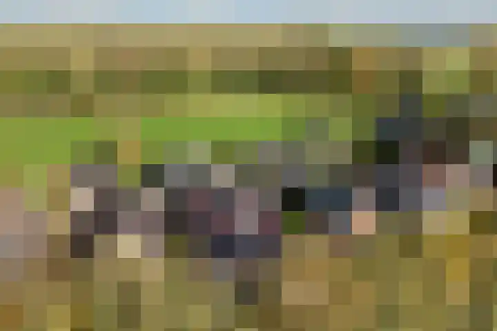 Breedijk 14 Ryptsjerk thumbnail 47