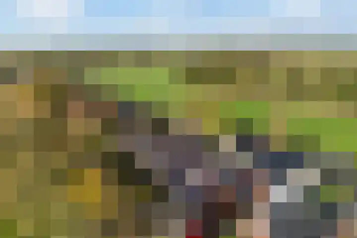 Breedijk 14 Ryptsjerk thumbnail 48