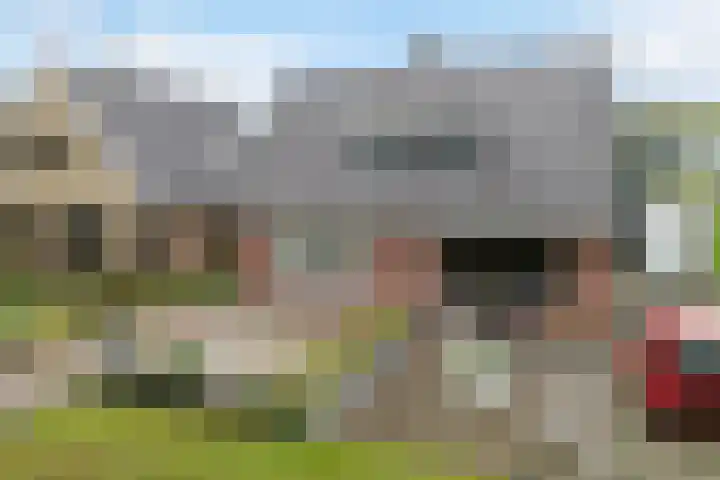 Breedijk 14 Ryptsjerk thumbnail 6