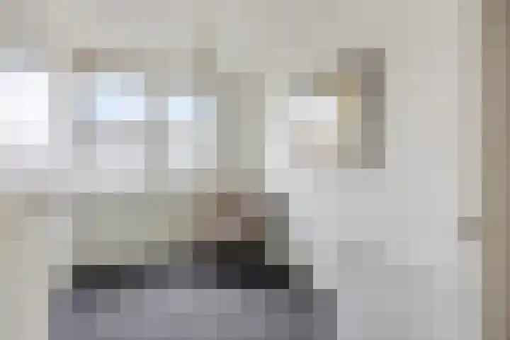 Breedmede 20 Middelburg thumbnail 21