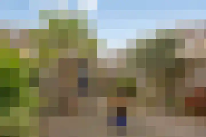Breedmede 20 Middelburg thumbnail 26
