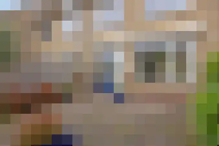 Breedmede 20 Middelburg thumbnail 27