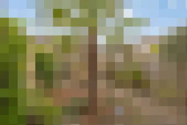 Breedmede 20 Middelburg thumbnail 28