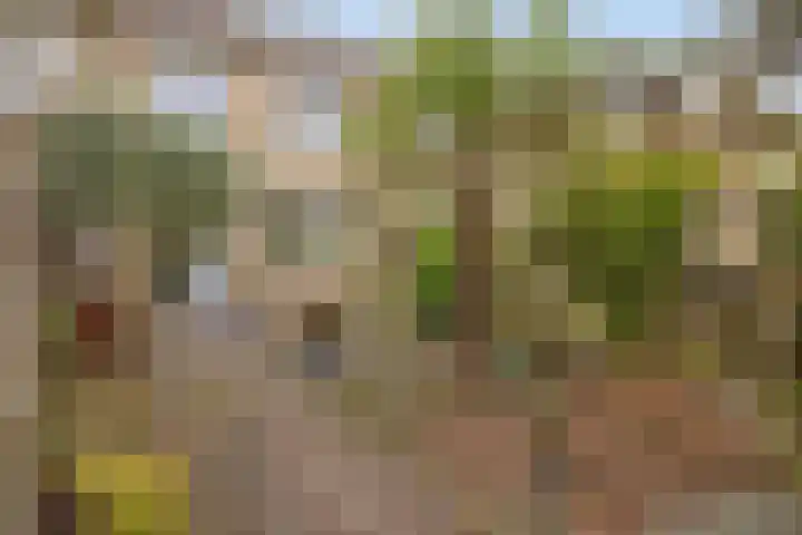 Breedmede 20 Middelburg thumbnail 29