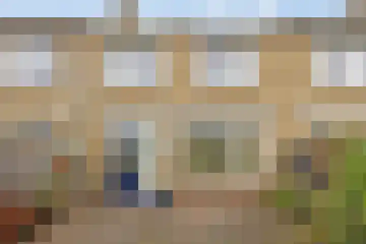 Breedmede 20 Middelburg thumbnail 30
