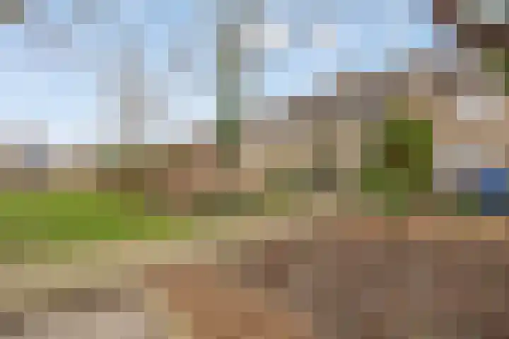 Breedmede 20 Middelburg thumbnail 33
