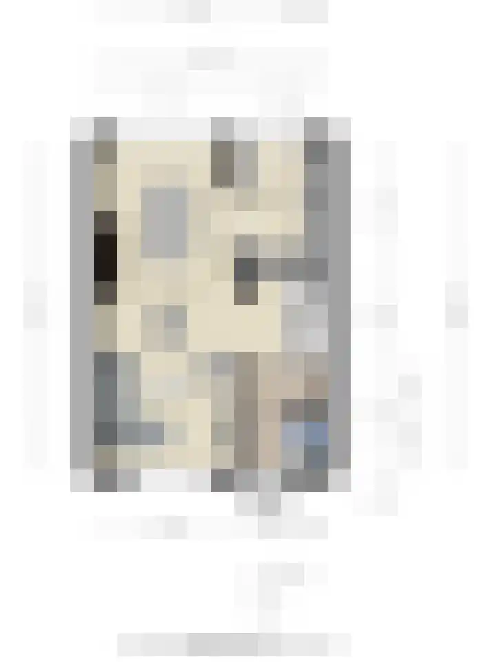 Breedmede 20 Middelburg thumbnail 35
