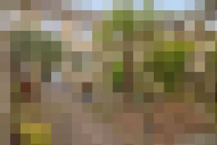 Breedmede 20 Middelburg thumbnail 5