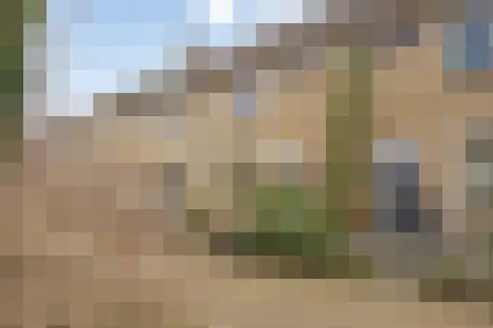 Breedmede 20 Middelburg thumbnail 6