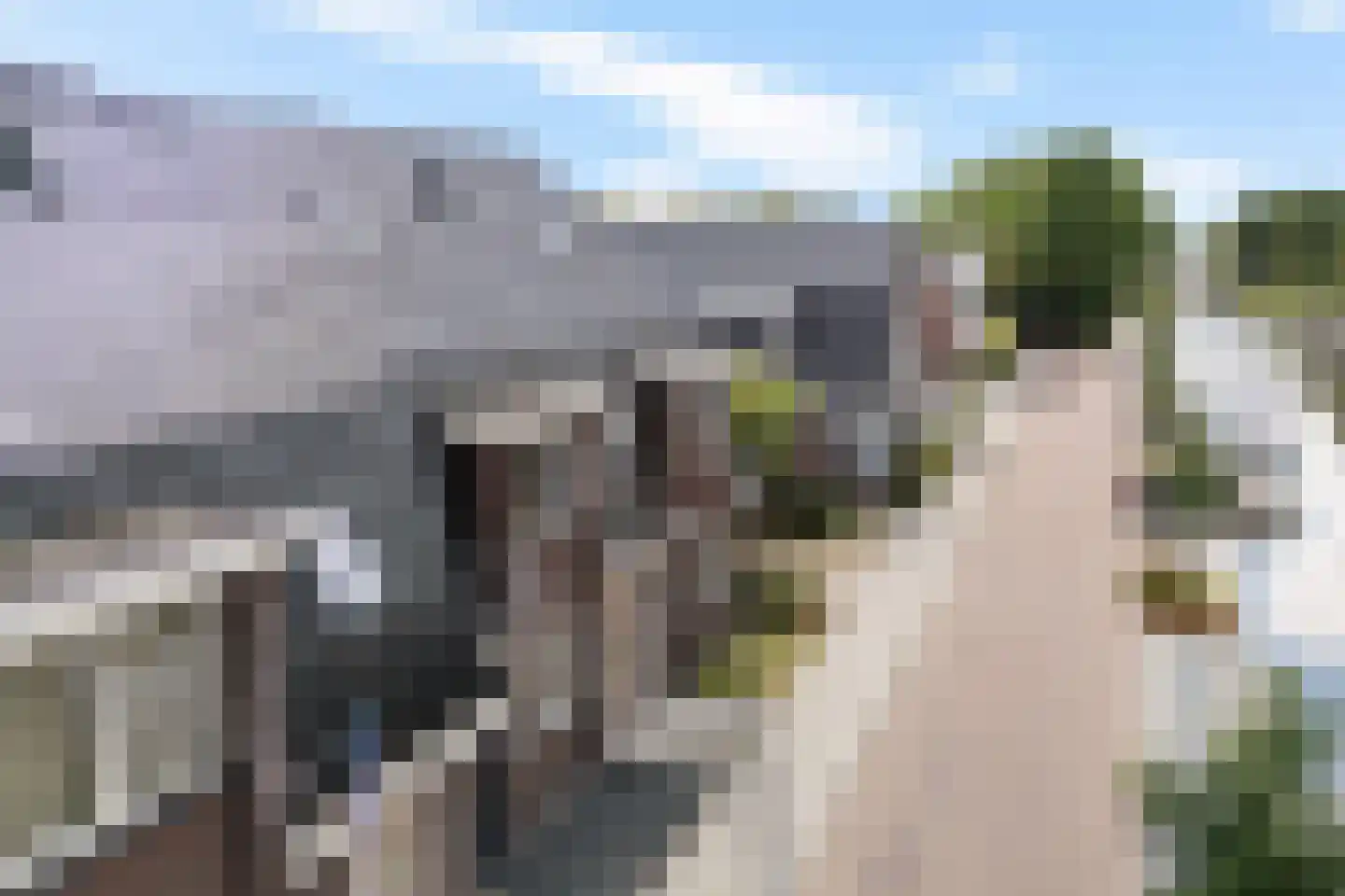 Breedpad 45 Heerenveen thumbnail 33