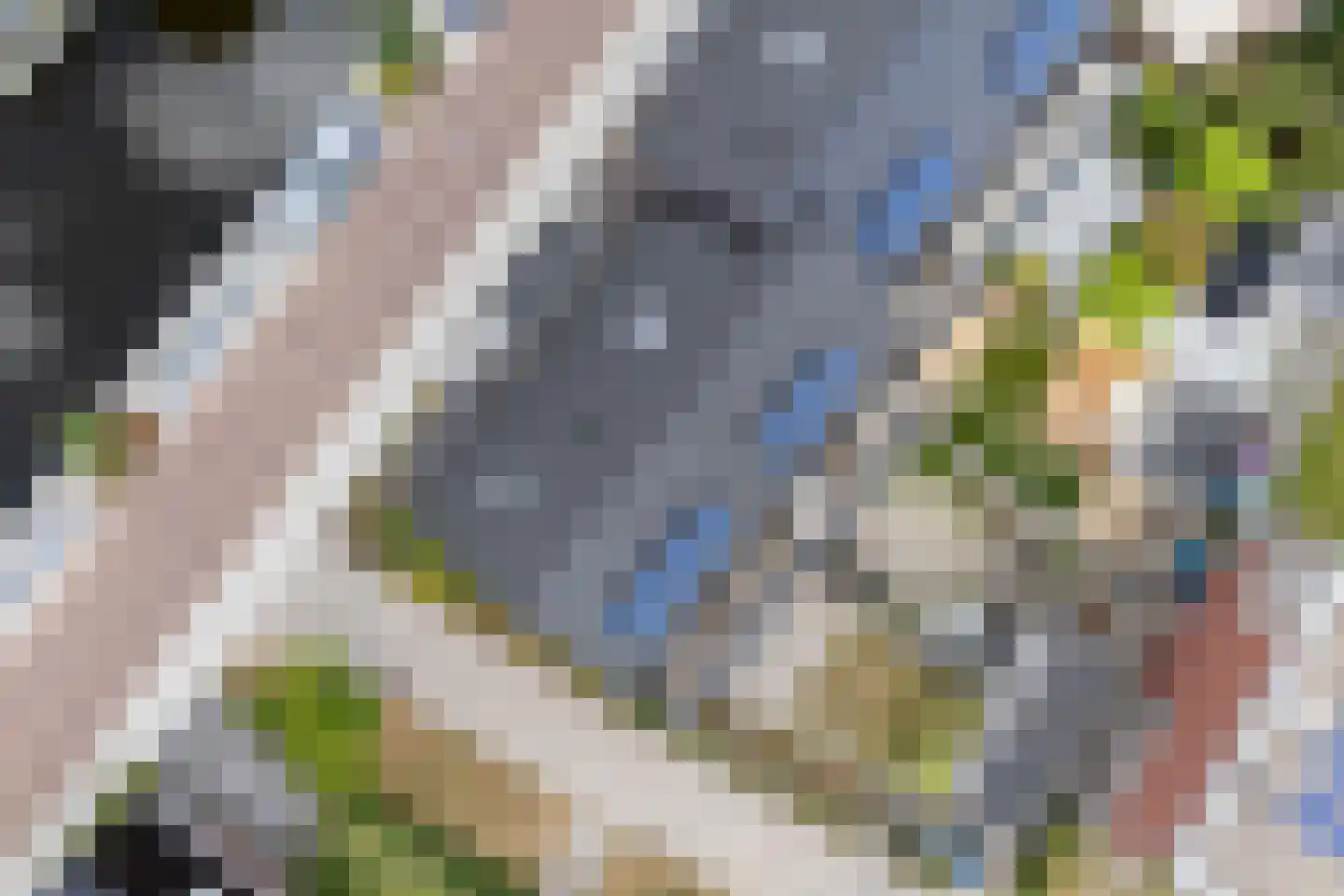 Breedpad 45 Heerenveen thumbnail 37