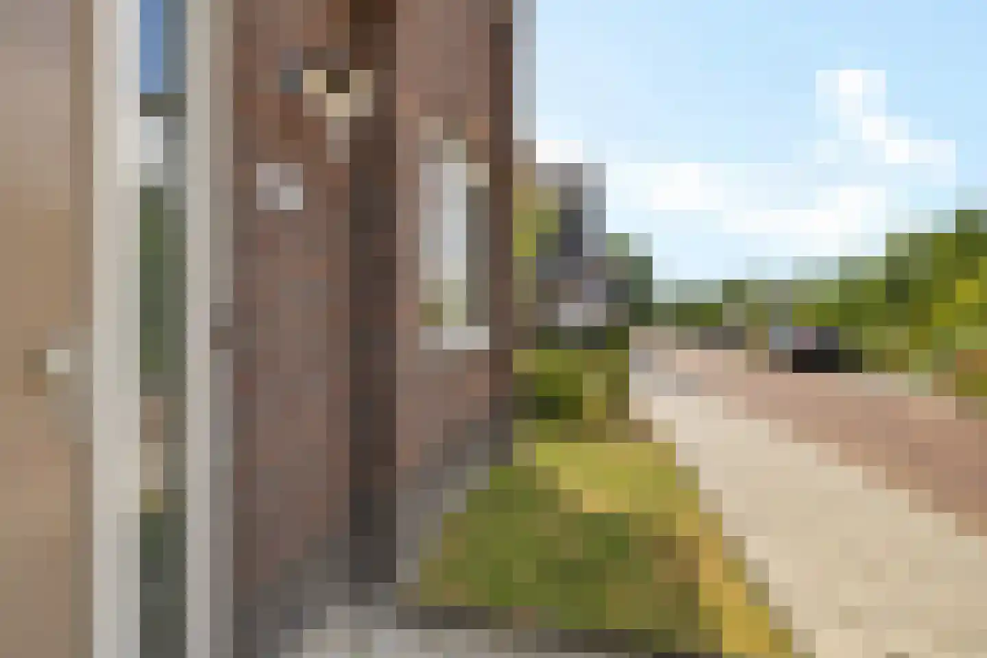 Breedpad 45 Heerenveen thumbnail 4
