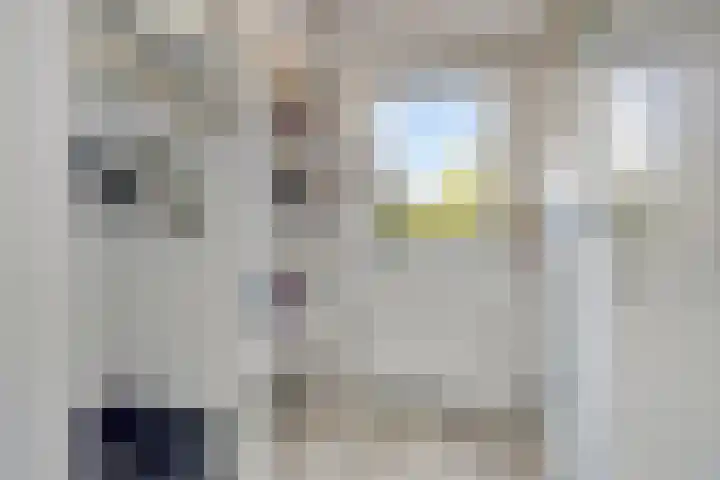 Breedpad 49 Heerenveen thumbnail 33