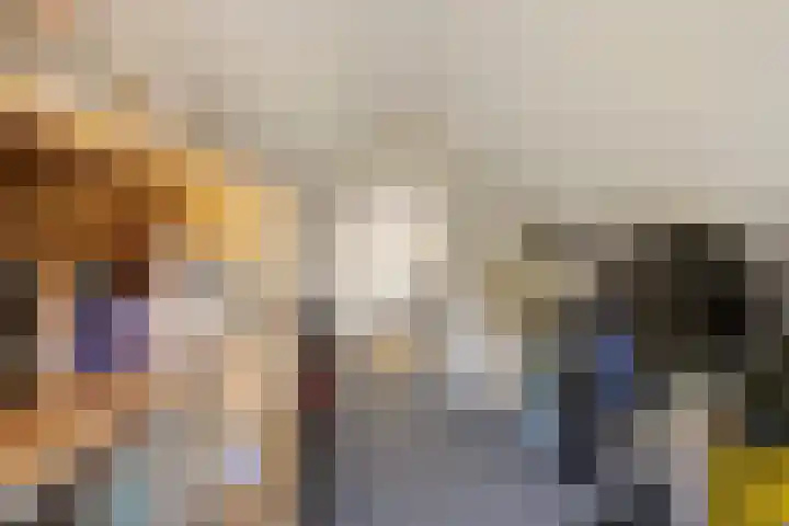 Breedpad 49 Heerenveen thumbnail 37