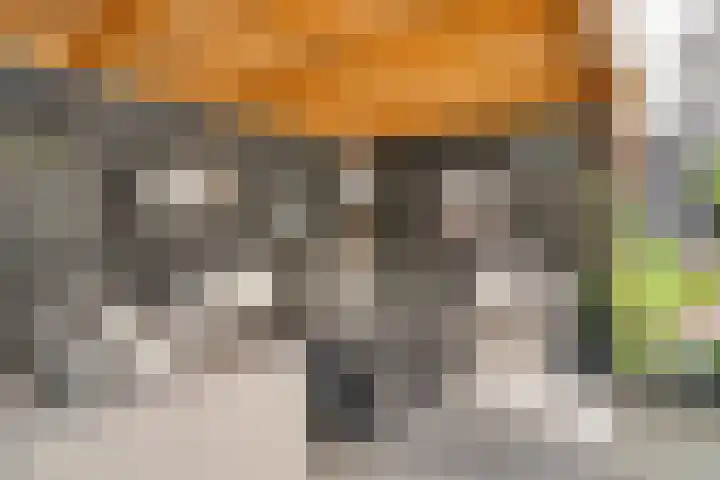 Breedpad 49 Heerenveen thumbnail 39