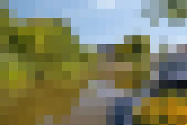 Breedpad 49 Heerenveen thumbnail 48