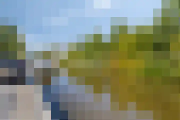 Breedpad 49 Heerenveen thumbnail 49