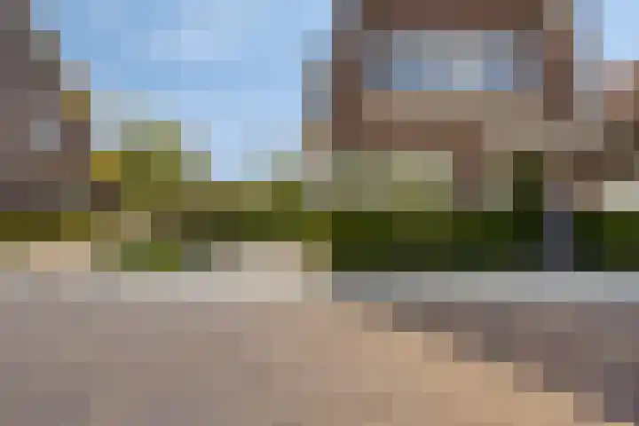 Breedpad 49 Heerenveen thumbnail 5