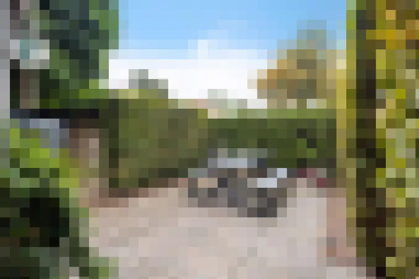 Breedpad 61 Heerenveen thumbnail 30