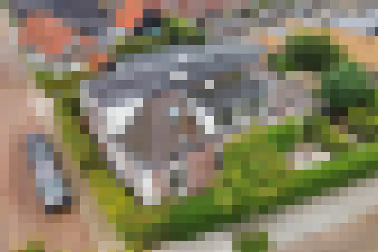 Breedpad 61 Heerenveen thumbnail 39