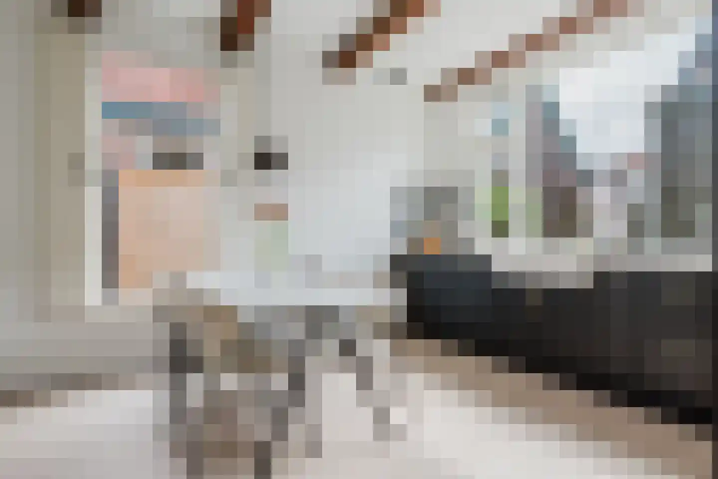 Breedpad 65 Heerenveen thumbnail 23