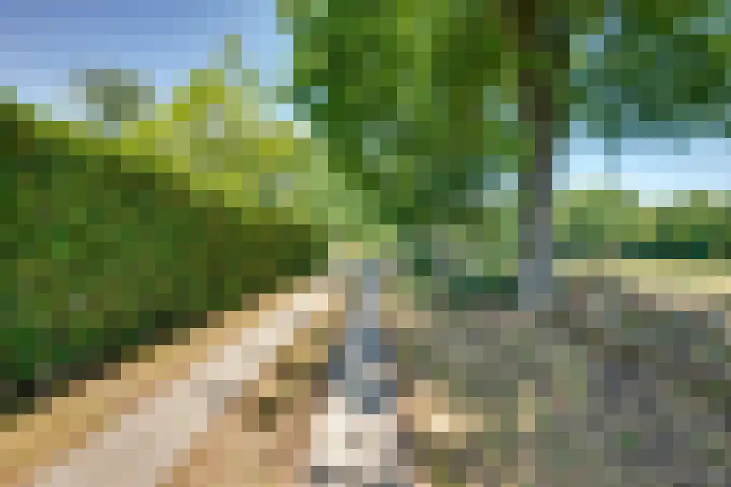 Breedschotsestraat 12 Rijsbergen thumbnail 11