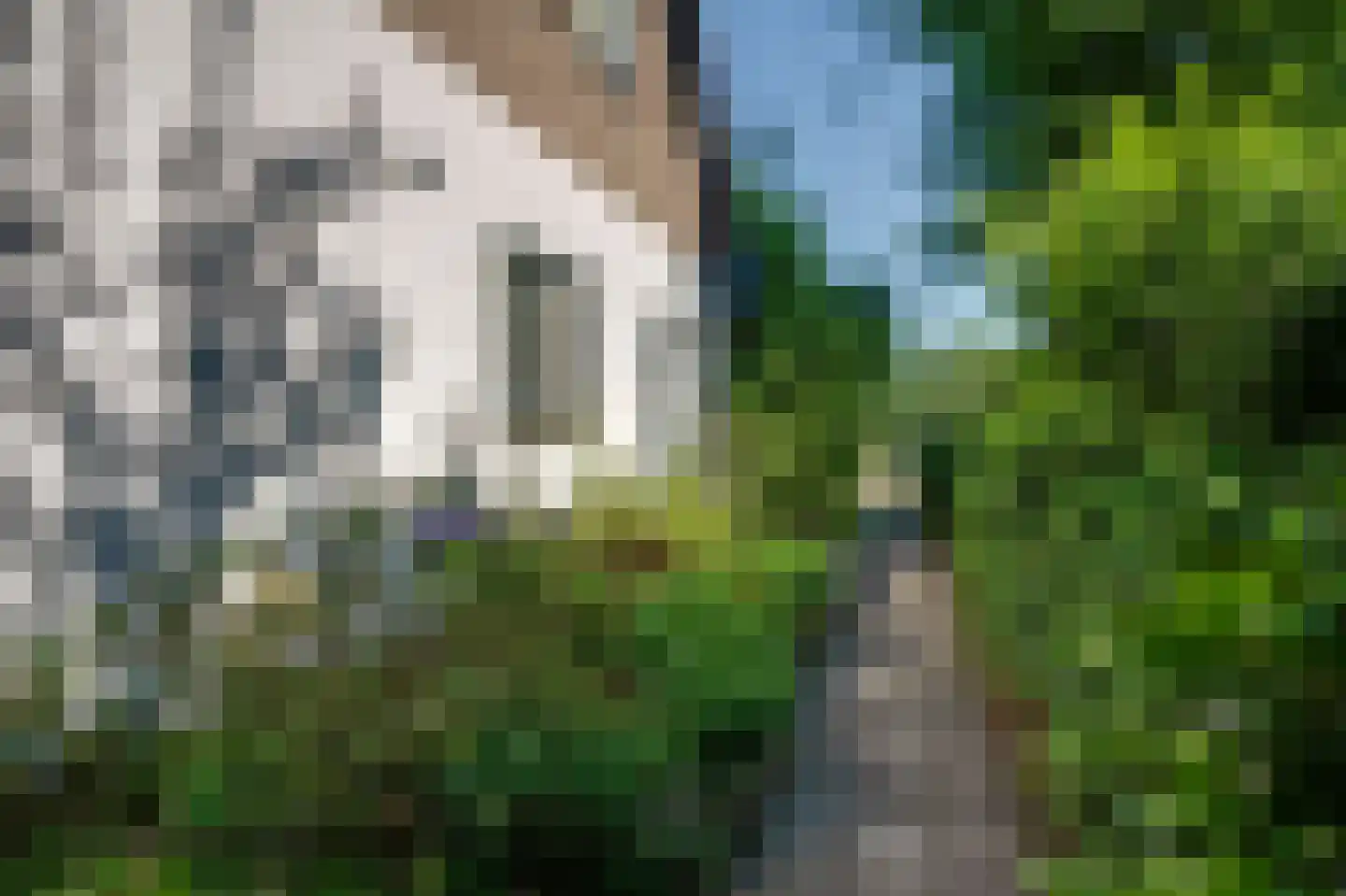 Breedschotsestraat 12 Rijsbergen thumbnail 14