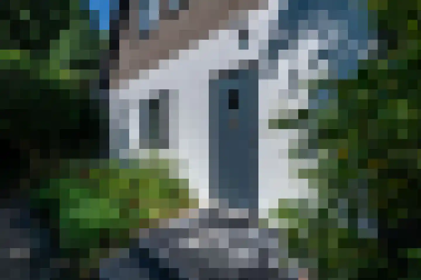Breedschotsestraat 12 Rijsbergen thumbnail 15