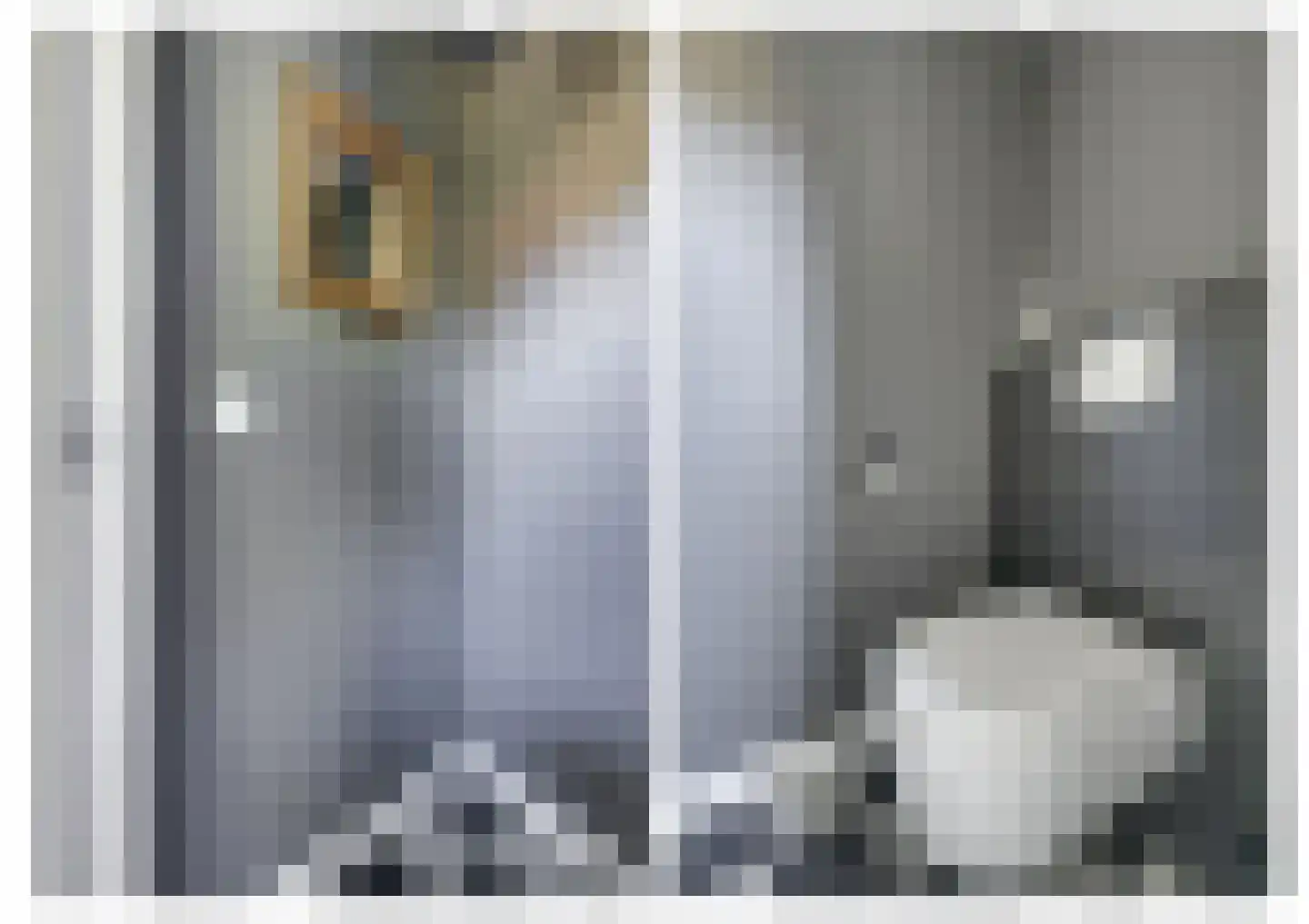 Breedschotsestraat 12 Rijsbergen thumbnail 18