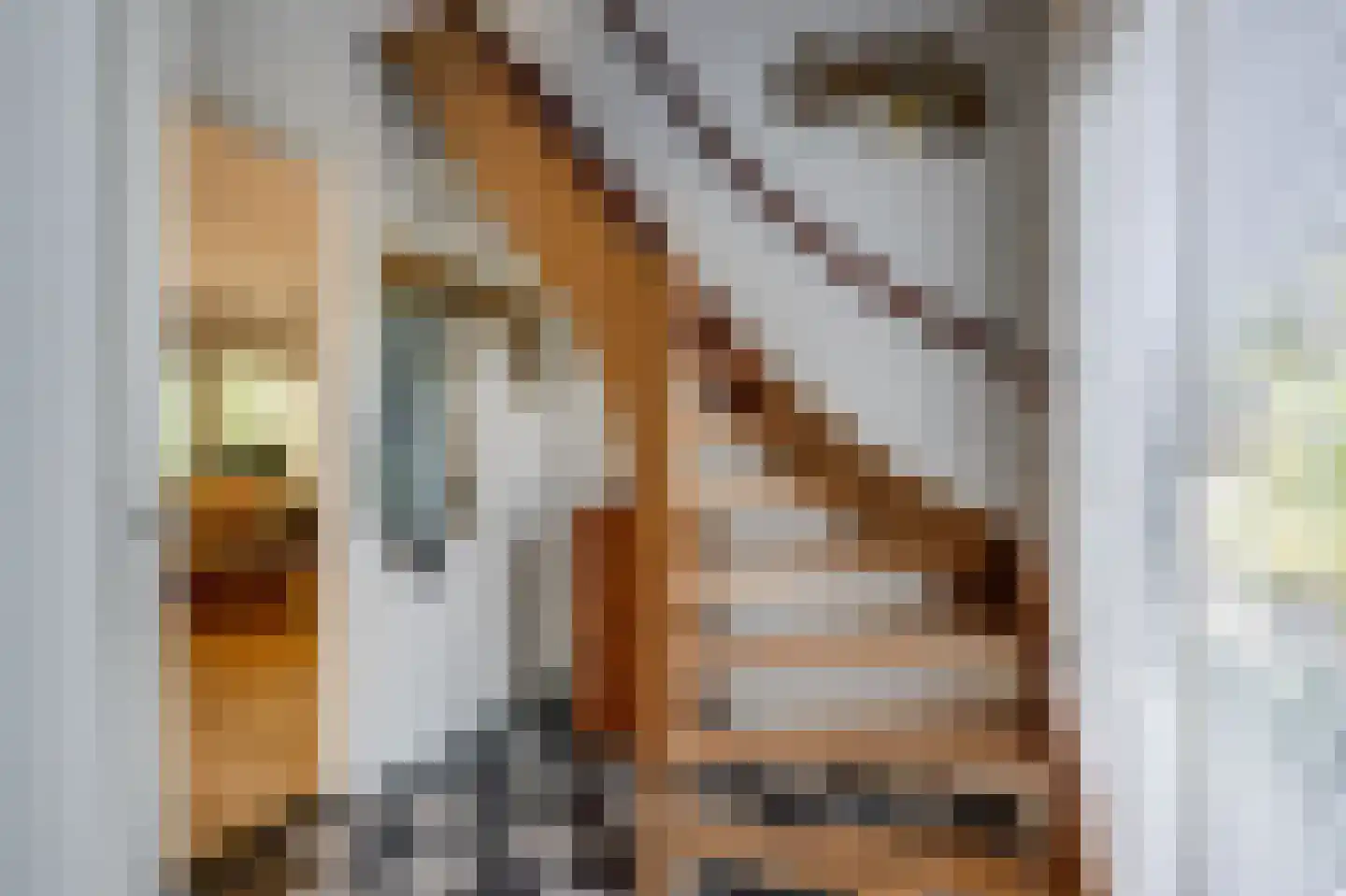 Breedschotsestraat 12 Rijsbergen thumbnail 19