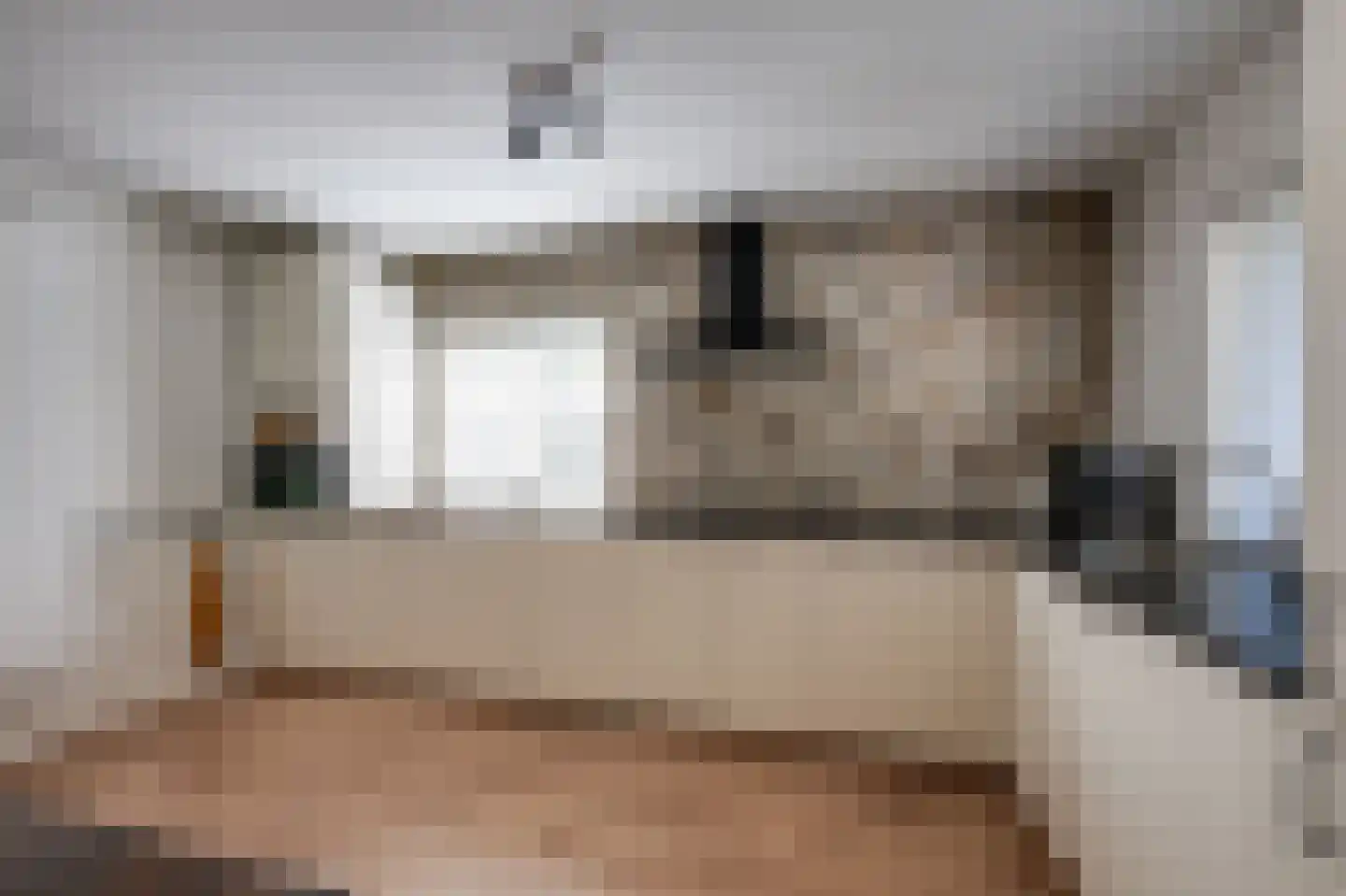 Breedschotsestraat 12 Rijsbergen thumbnail 21