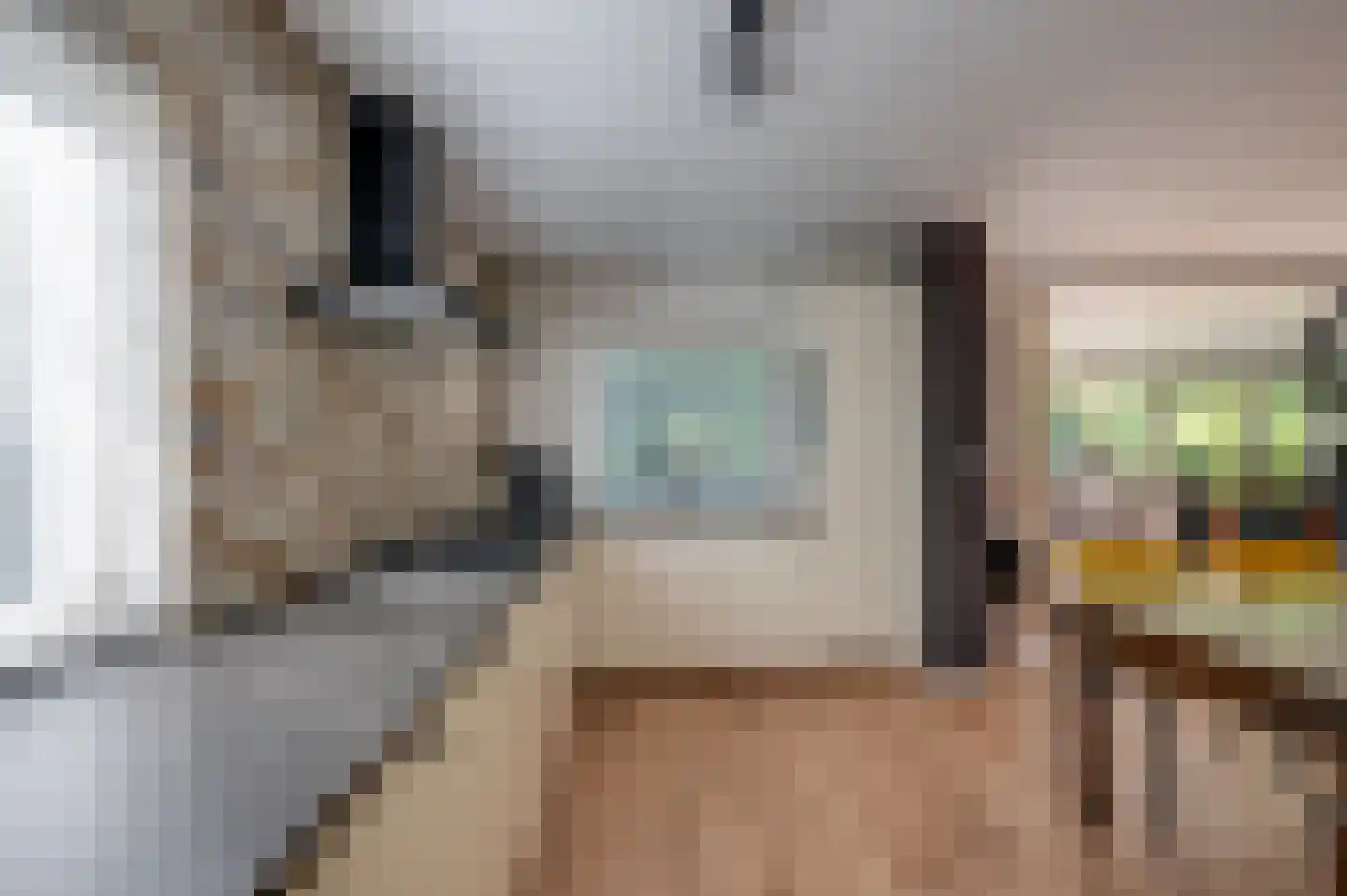 Breedschotsestraat 12 Rijsbergen thumbnail 23