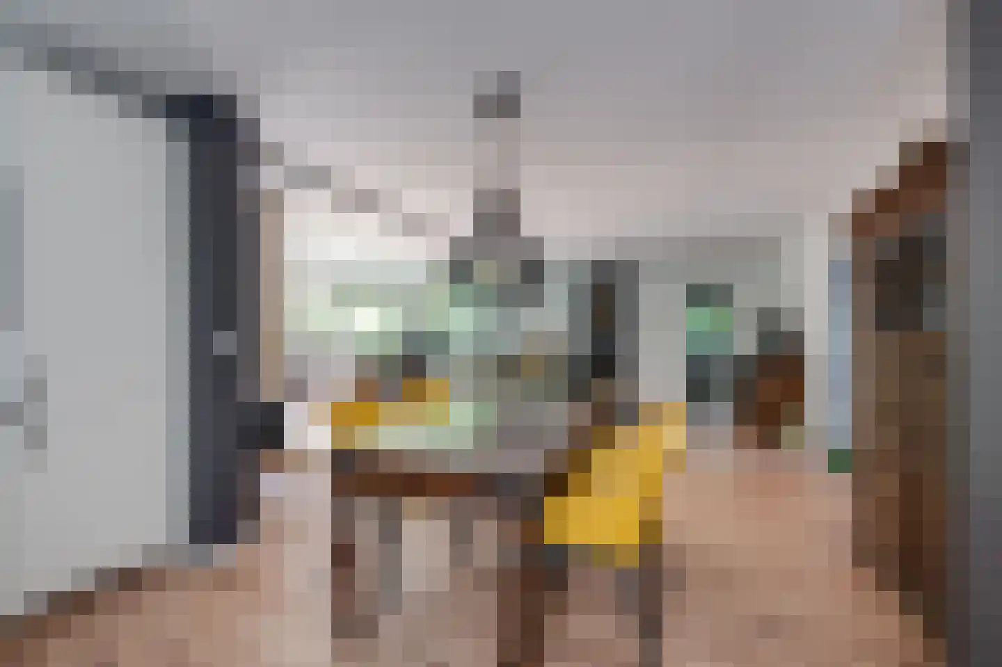 Breedschotsestraat 12 Rijsbergen thumbnail 24