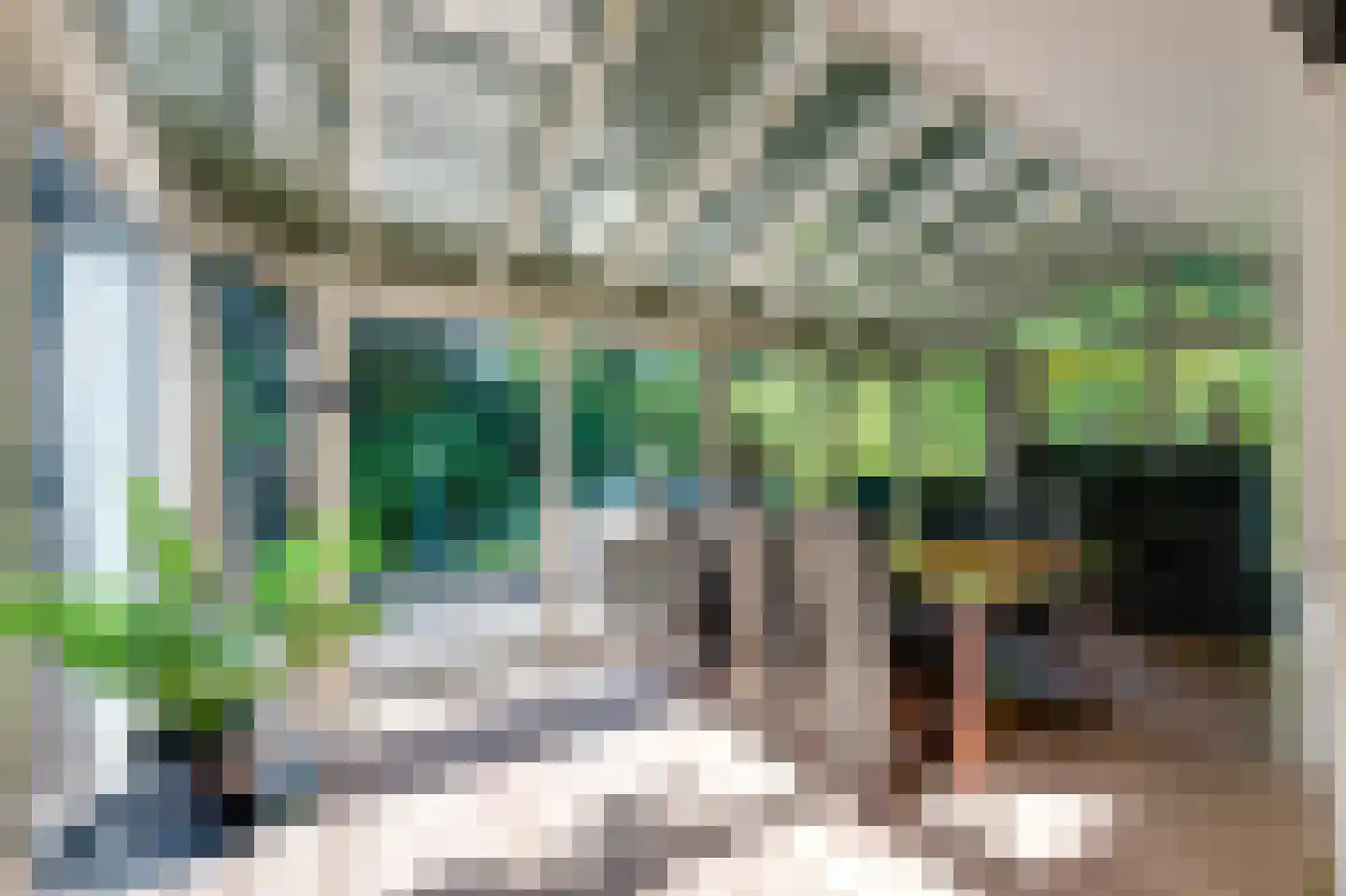 Breedschotsestraat 12 Rijsbergen thumbnail 26