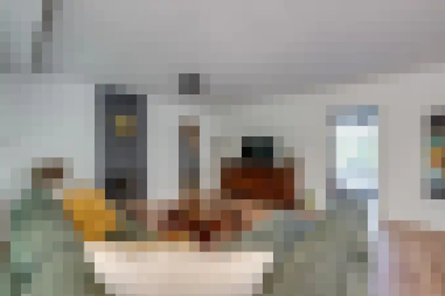 Breedschotsestraat 12 Rijsbergen thumbnail 29
