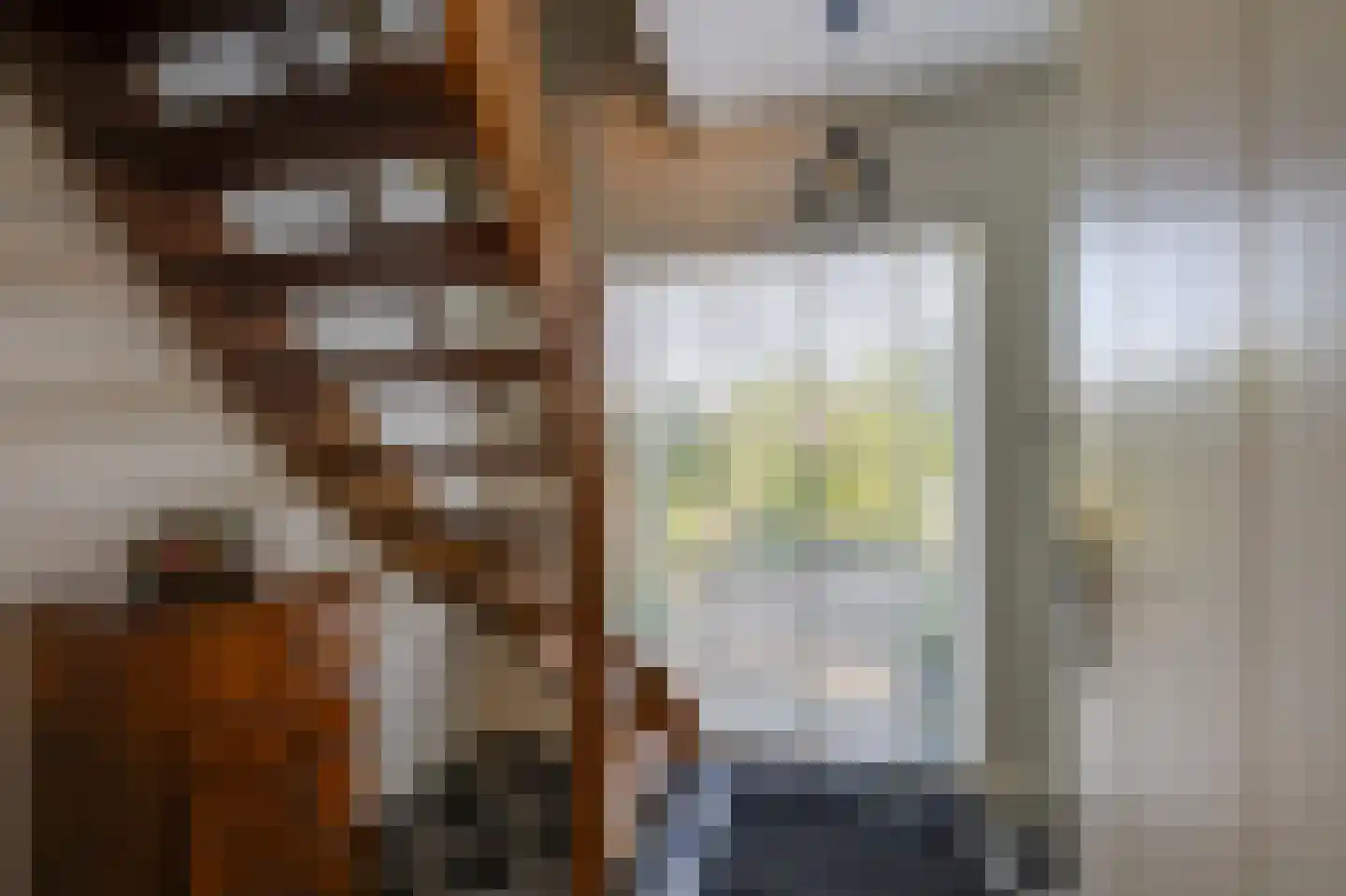 Breedschotsestraat 12 Rijsbergen thumbnail 34