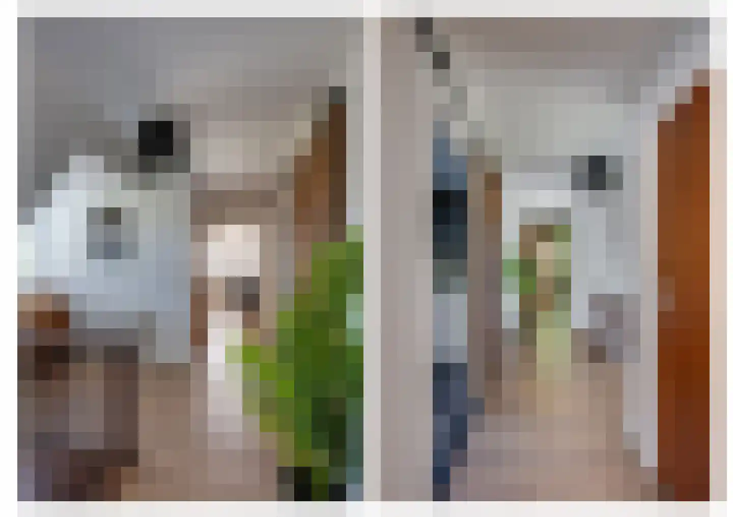 Breedschotsestraat 12 Rijsbergen thumbnail 36