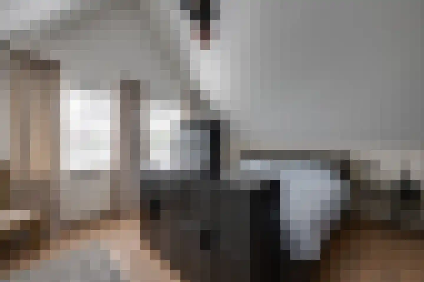 Breedschotsestraat 12 Rijsbergen thumbnail 37
