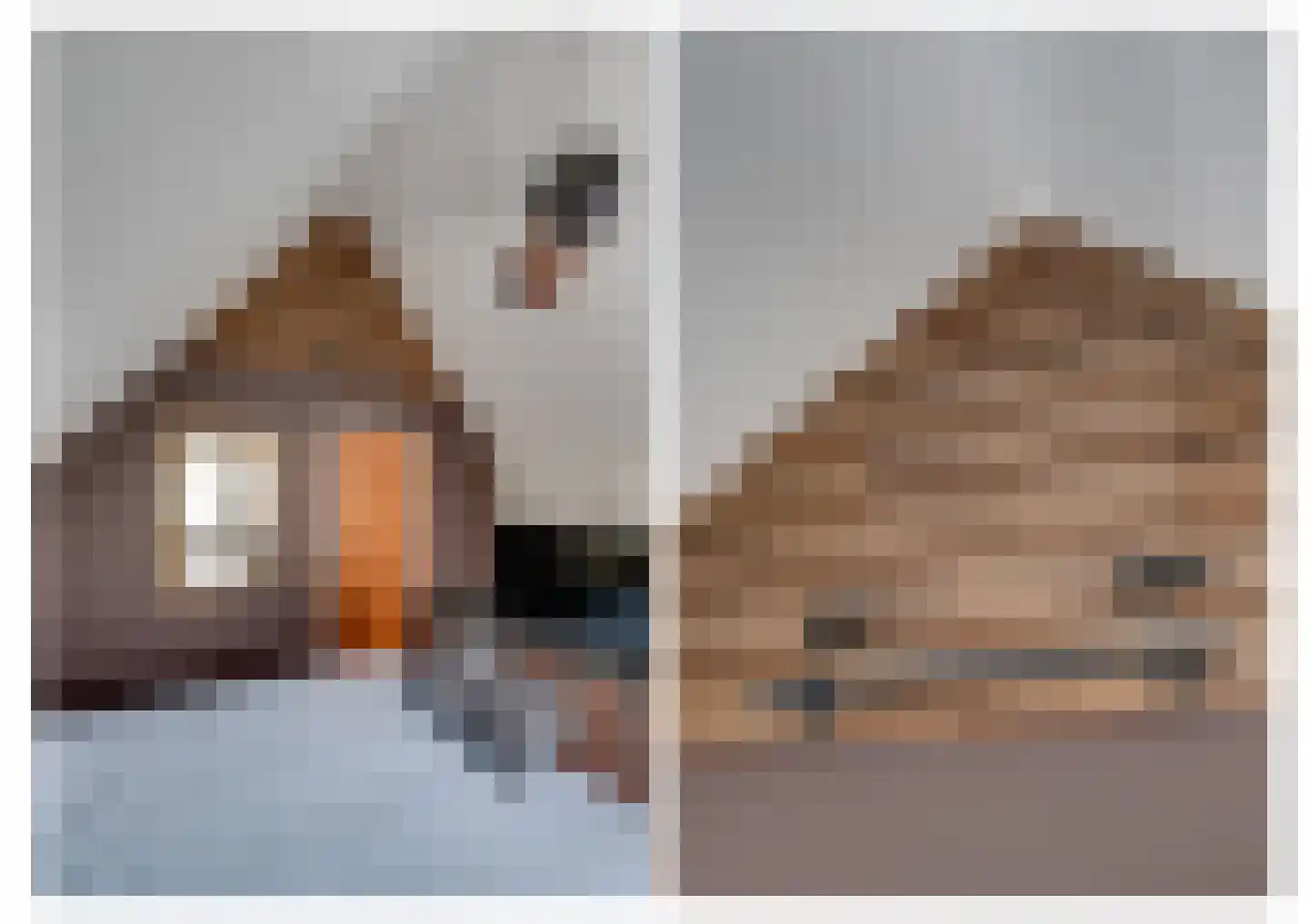 Breedschotsestraat 12 Rijsbergen thumbnail 39