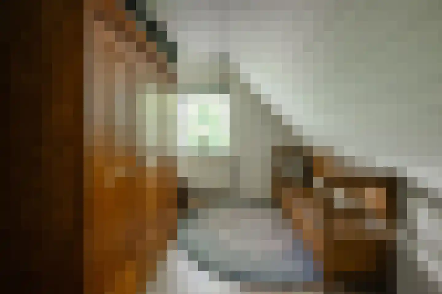 Breedschotsestraat 12 Rijsbergen thumbnail 40
