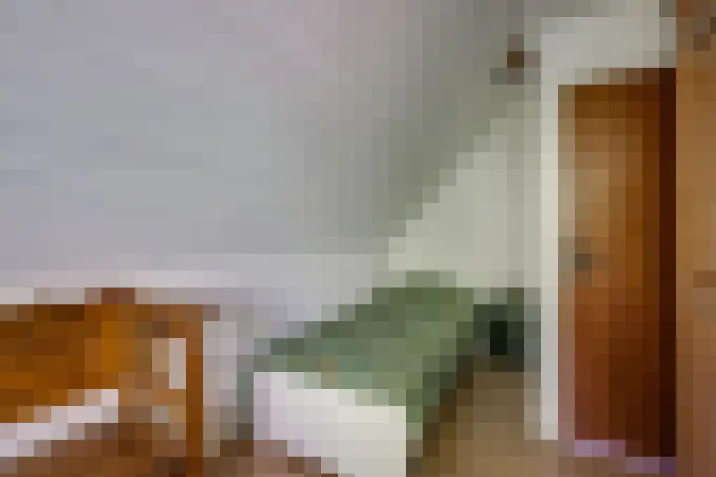 Breedschotsestraat 12 Rijsbergen thumbnail 41