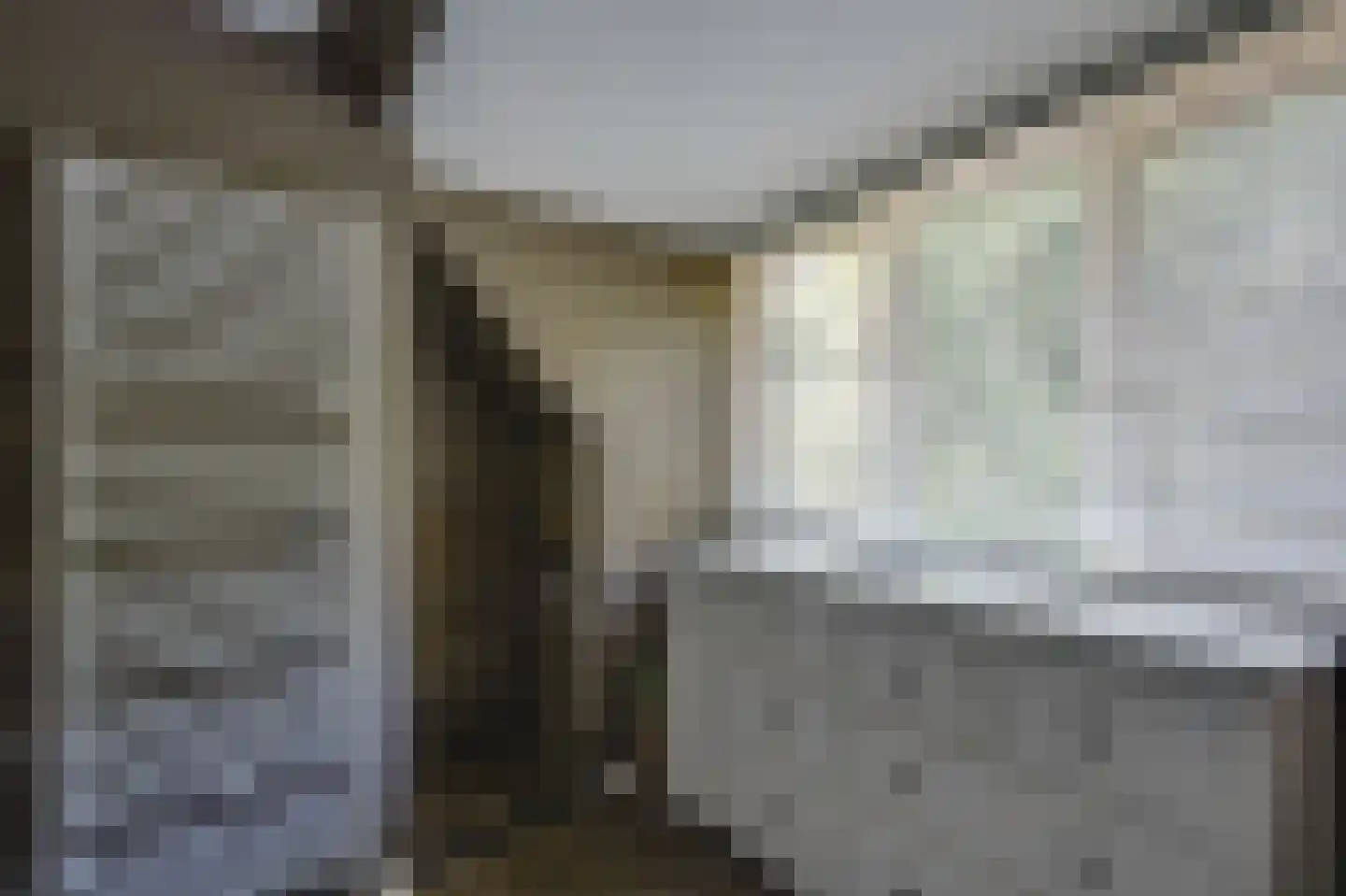 Breedschotsestraat 12 Rijsbergen thumbnail 45