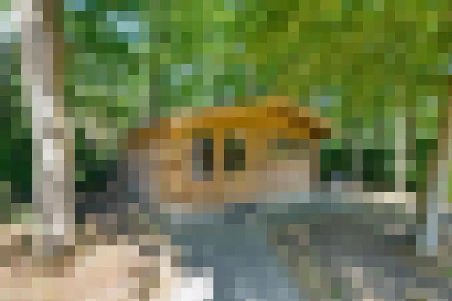 Breedschotsestraat 12 Rijsbergen thumbnail 52