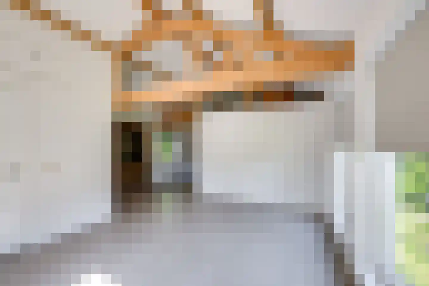 Breedschotsestraat 12 Rijsbergen thumbnail 57