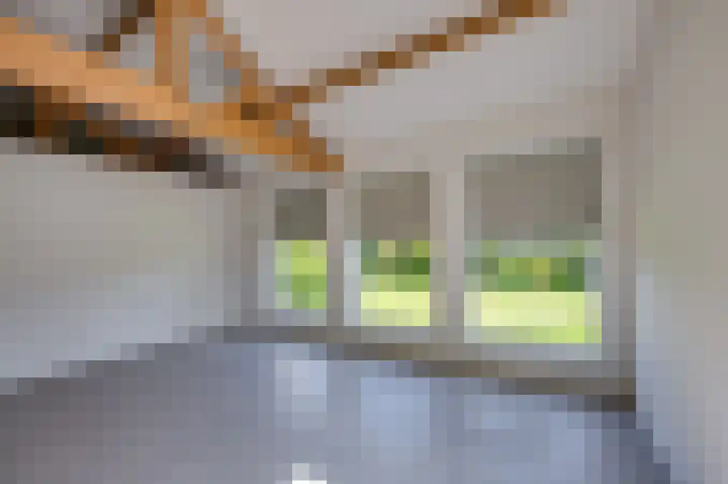 Breedschotsestraat 12 Rijsbergen thumbnail 6